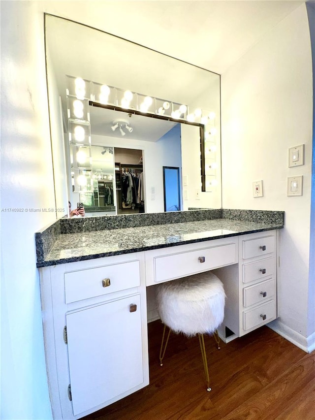 3850 Washington St Unit 317, Hollywood, FL 33021 - bathroom featuring vanity and wood-type flooring