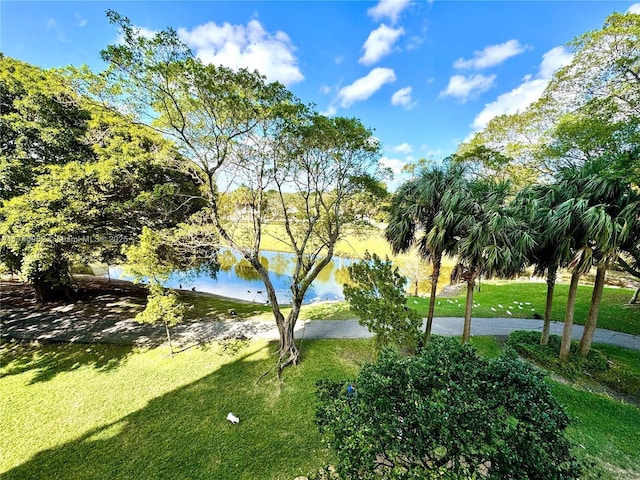 3850 Washington St Unit 317, Hollywood, FL 33021 - view of community with a water view and a lawn