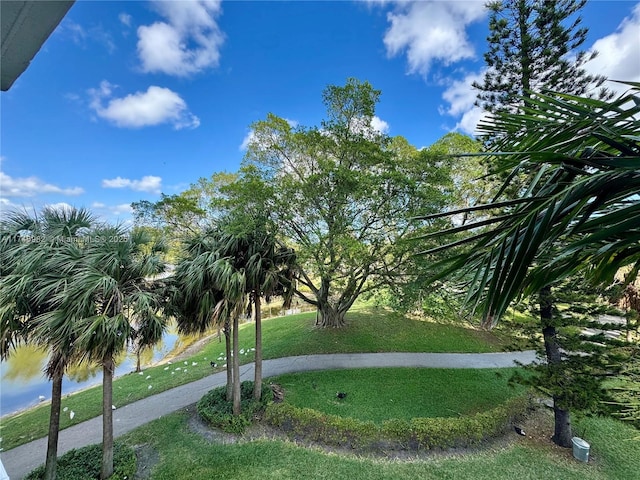 3850 Washington St Unit 317, Hollywood, FL 33021 - view of home's community with a water view and a lawn