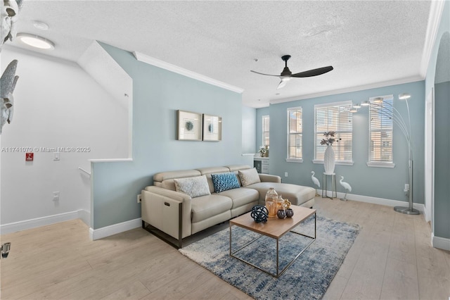 living room with crown molding, light hardwood / wood-style flooring, and a textured ceiling