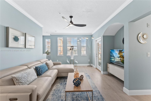 living room featuring ornamental molding, light hardwood / wood-style flooring, and a textured ceiling