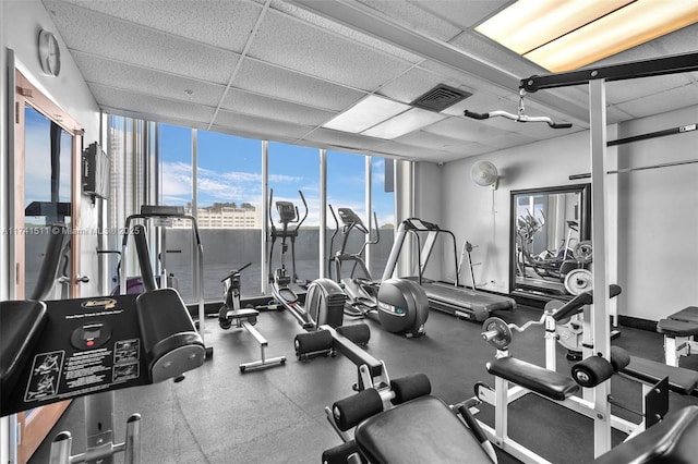 gym featuring a paneled ceiling and a wall of windows