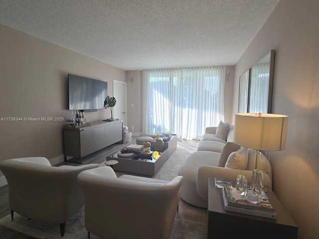 living room featuring a textured ceiling