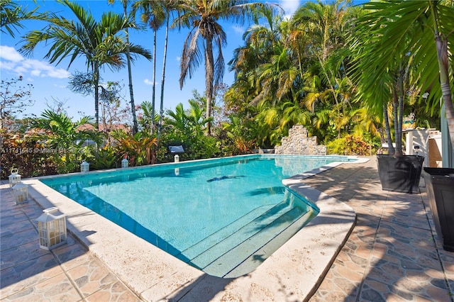 view of swimming pool with a patio area