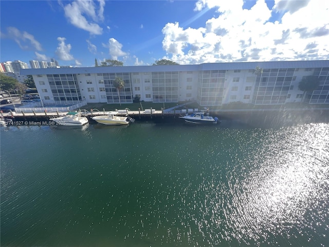 water view featuring a boat dock