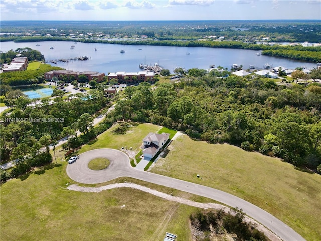 aerial view with a water view