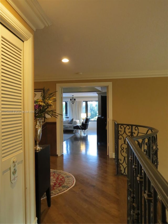 hall with crown molding and dark wood-type flooring