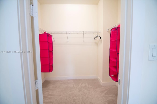 spacious closet featuring light colored carpet