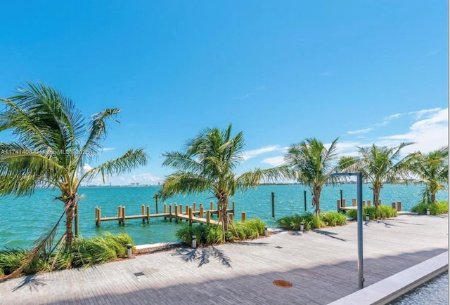 water view featuring a dock