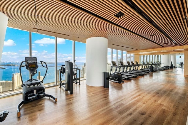 workout area with wood-type flooring, floor to ceiling windows, and a water view