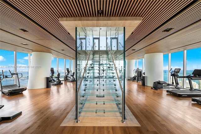 exercise room featuring wood-type flooring, floor to ceiling windows, and a water view