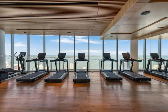 exercise room with a wall of windows, a healthy amount of sunlight, and hardwood / wood-style floors