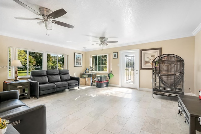 1601 SW 117th Ave, Davie, FL 33325 - living room with crown molding, ceiling fan, and baseboards