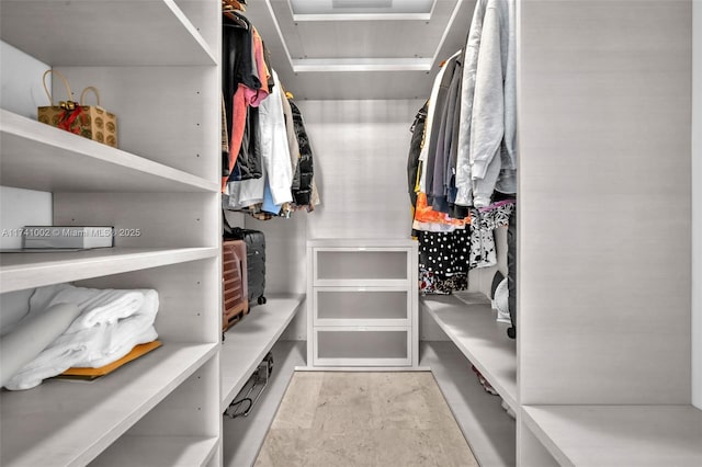 view of walk in closet