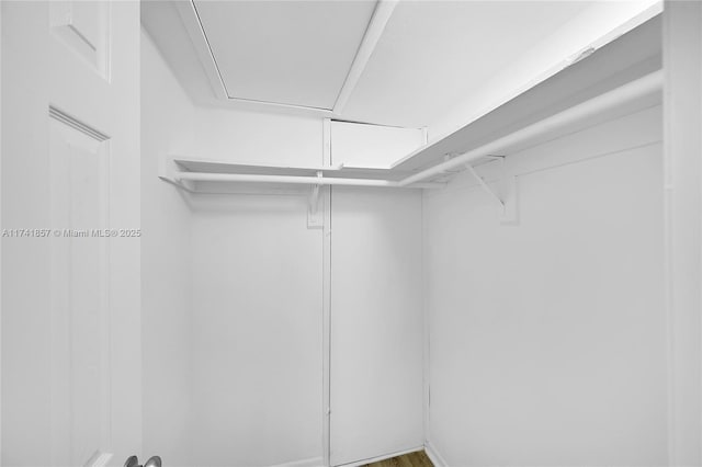 view of spacious closet