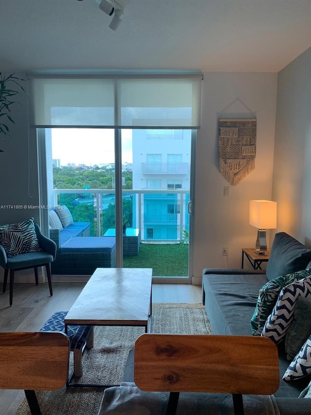 living room with a wall of windows and hardwood / wood-style floors