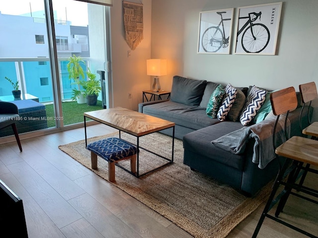 living room featuring wood-type flooring