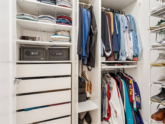 view of walk in closet