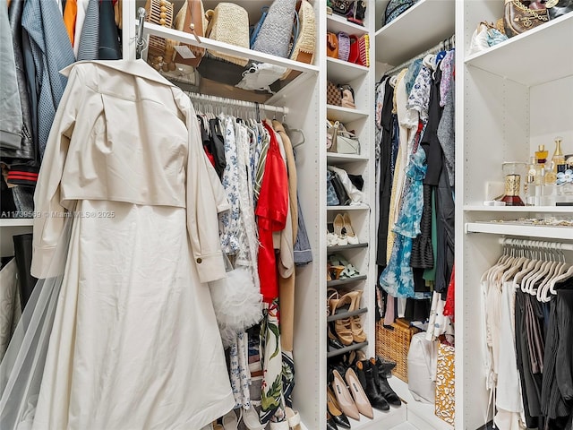 view of spacious closet