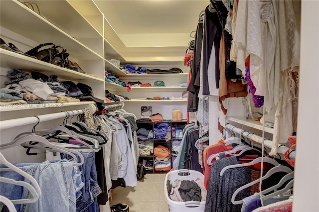 view of spacious closet