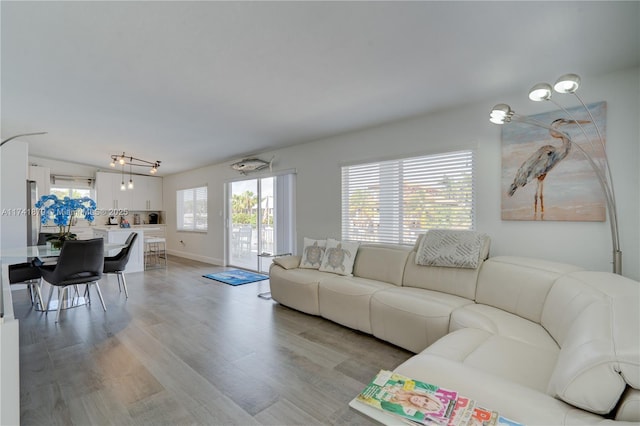 living room with light wood-type flooring