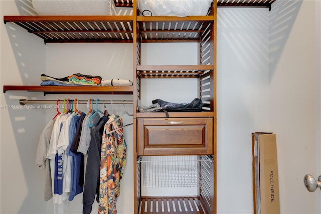 view of closet