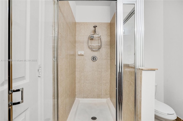 full bathroom featuring a shower stall and toilet