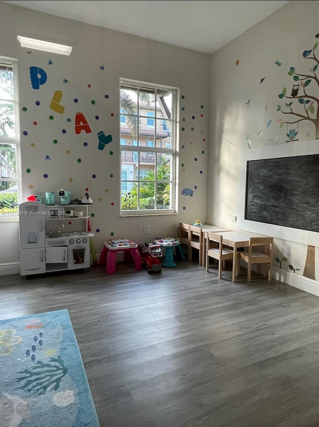 game room featuring wood finished floors