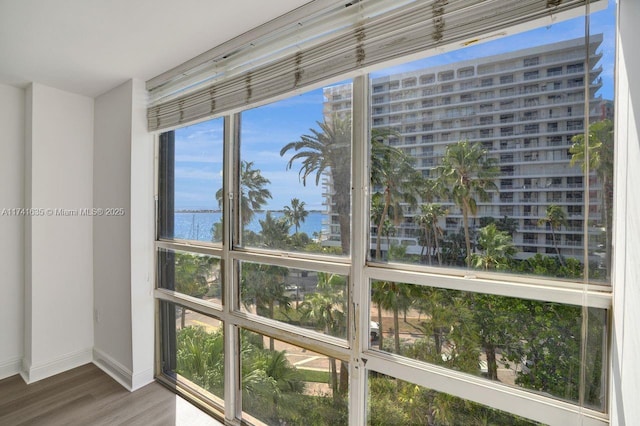 details featuring wood-type flooring and a water view