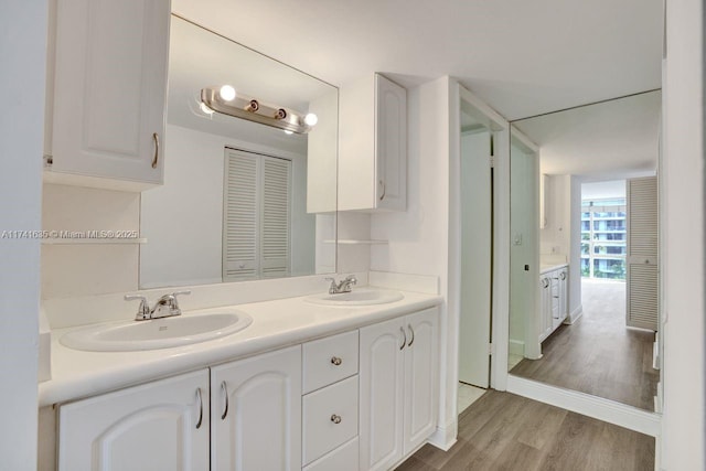 bathroom featuring hardwood / wood-style flooring and vanity