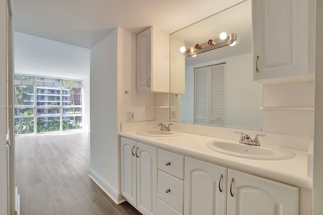 bathroom with vanity and wood-type flooring