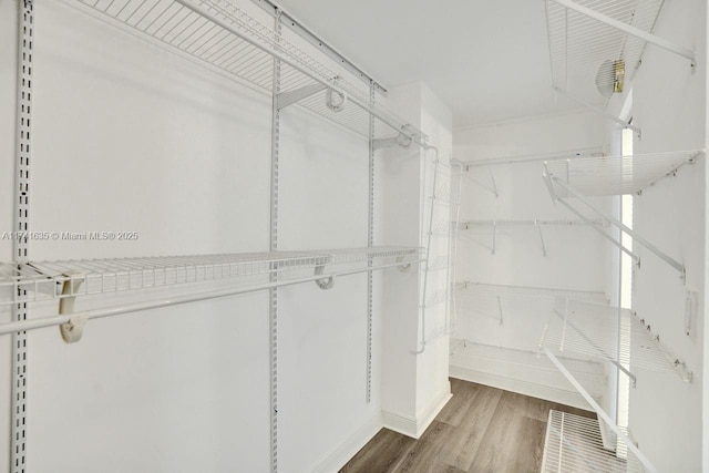 walk in closet with hardwood / wood-style flooring