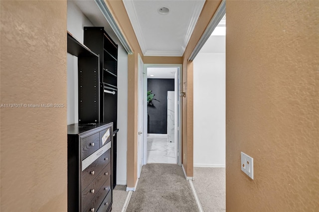 hallway featuring light carpet and ornamental molding