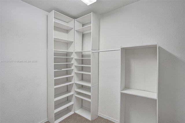 spacious closet featuring carpet