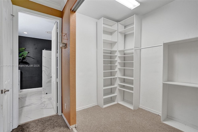 spacious closet featuring carpet flooring