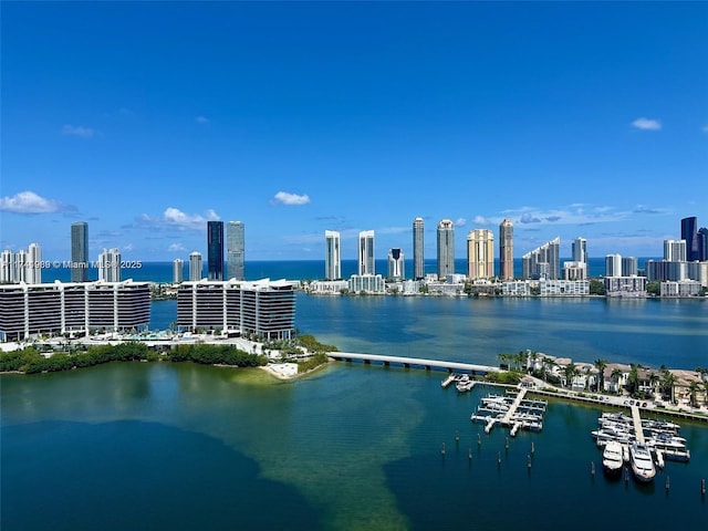 view of water feature featuring a city view