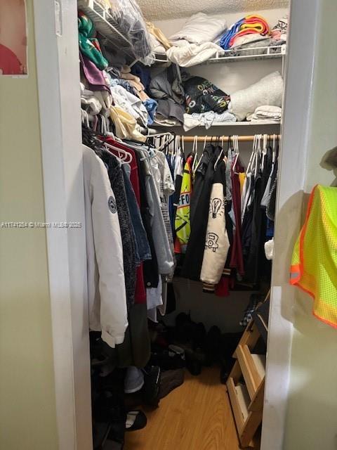 walk in closet with hardwood / wood-style flooring