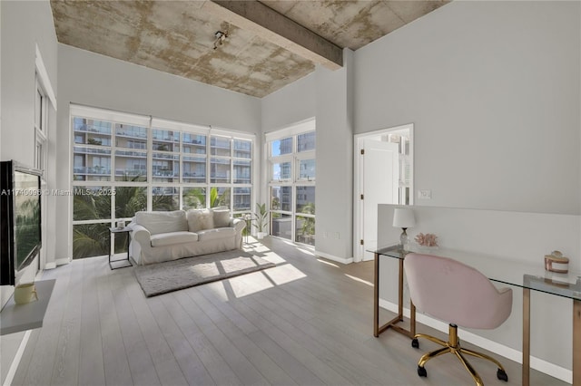 interior space featuring a high ceiling and hardwood / wood-style floors