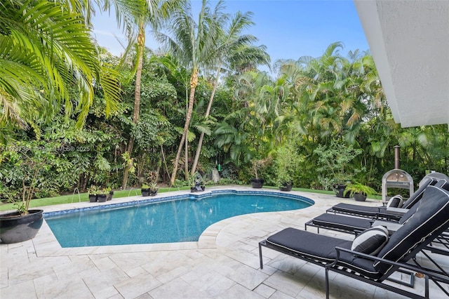 view of pool featuring a patio