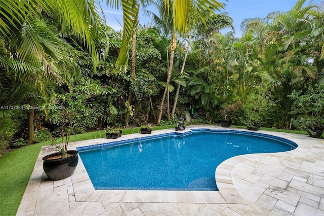 view of swimming pool with a patio area