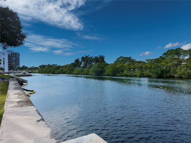 property view of water