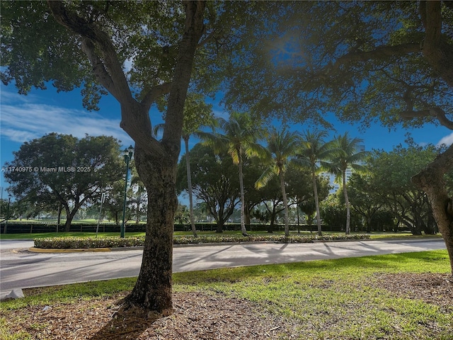 3475 N Country Club Dr Unit 115, Aventura, FL 33180 - photo 45