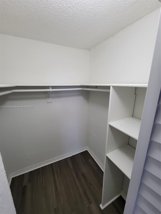 spacious closet featuring dark hardwood / wood-style flooring