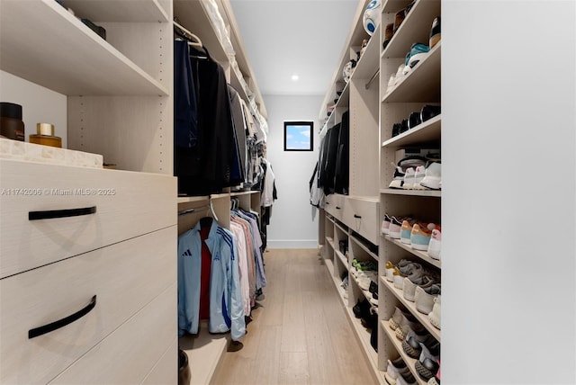 spacious closet with light wood-type flooring