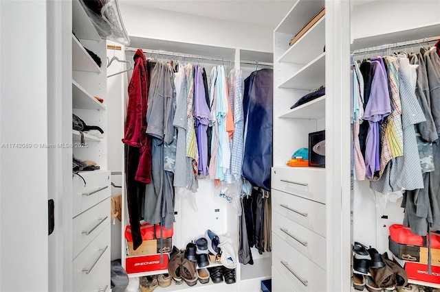 view of spacious closet