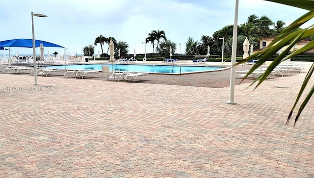 view of pool featuring a patio area