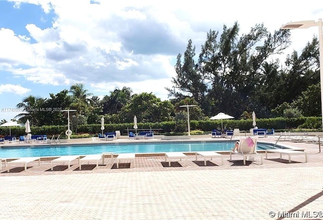 view of swimming pool featuring a patio area