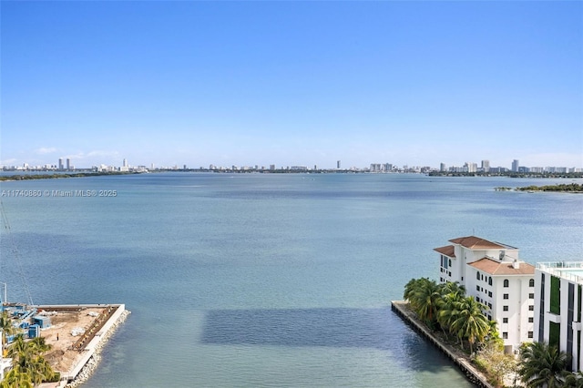 460 NE 28th St Unit 1404, Miami, FL 33137 - water view with skyline
