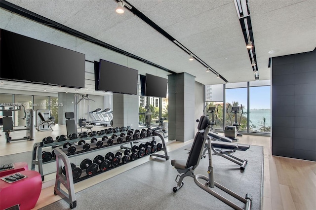 gym featuring rail lighting, light hardwood / wood-style flooring, and floor to ceiling windows