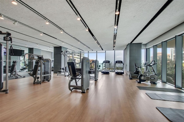 workout area featuring floor to ceiling windows, plenty of natural light, a textured ceiling, and light wood-type flooring